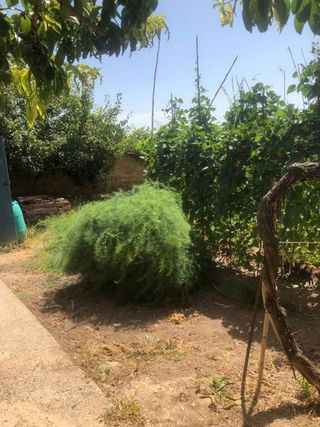 Chalet en venta en Tarazona