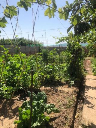 Chalet en venta en Tarazona