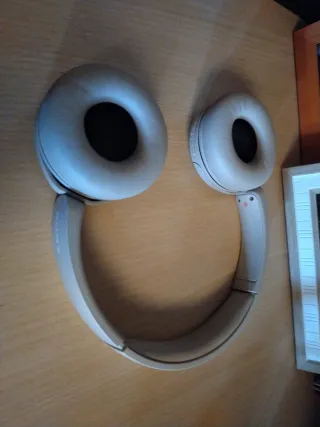 Cascos Sony Inalámbricos WHCH510W Beige/Gris