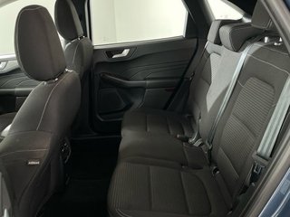 Ford Kuga Titanium 1.5 EcoBlue 88kW (120CV)