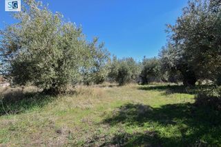 Terreno en venta en Otura