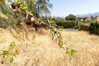 Terreno en venta en Otura