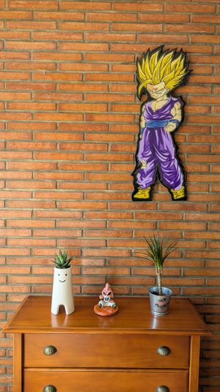 Cuadro Son Gohan SSJ2