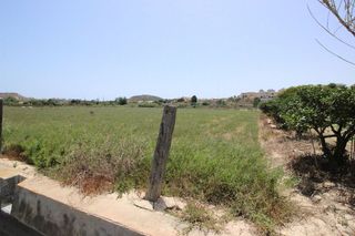 Terreno en venta en Urbanizaciones en Guardamar del Segura
