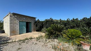 Solar en venta en Carcaixent