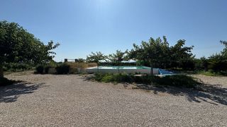 Solar en venta en Carcaixent