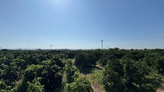 Solar en venta en Carcaixent