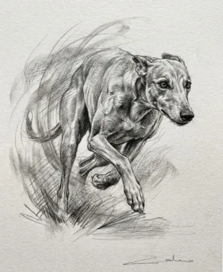 Retratos de mascotas hechos a mano