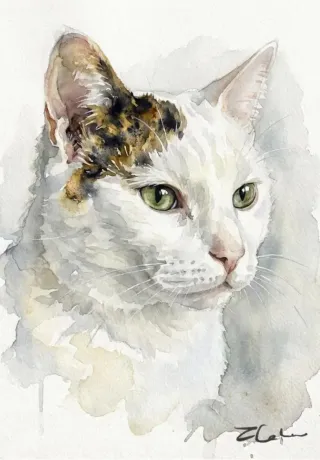 Retratos de mascotas hechos a mano