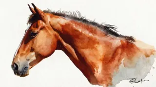 Retratos de mascotas hechos a mano