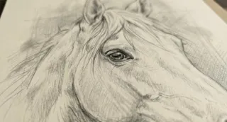 Retratos de mascotas hechos a mano