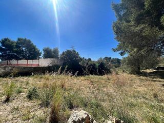 Terreno en venta en Turís