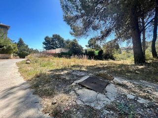 Terreno en venta en Turís