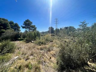 Terreno en venta en Turís