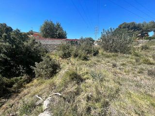 Terreno en venta en Turís