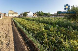 Terreno en venta en Zubia (La)