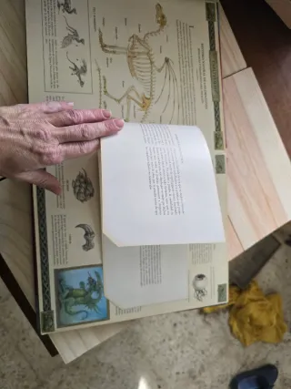 Dragones. El gran libro de los dragones (Spanis...