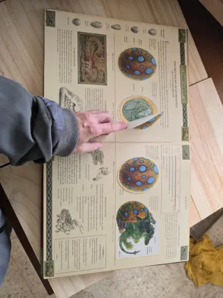 Dragones. El gran libro de los dragones (Spanis...