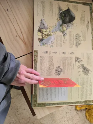 Dragones. El gran libro de los dragones (Spanis...