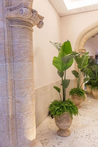 Dúplex en alquiler en La Llotja - Sant Jaume en Palma de Mallorca