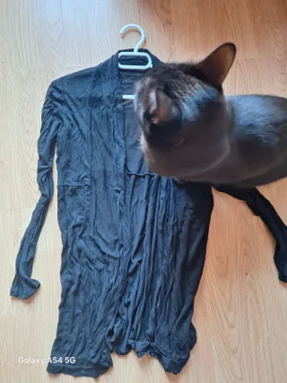 Chaqueta fina negra versátil