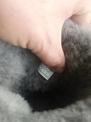 Botas UGG Bailey Bow II Gris