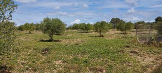 Solar en venta en Manacor Centro en Manacor