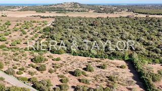 Terreno en venta en Sant Llorenç des Cardassar