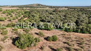 Terreno en venta en Sant Llorenç des Cardassar
