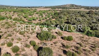 Terreno en venta en Sant Llorenç des Cardassar