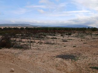 Terreno en venta en Yecla