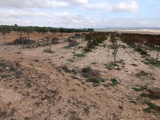 Terreno en venta en Yecla