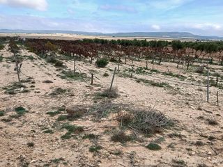 Terreno en venta en Yecla