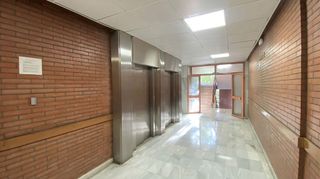 Oficina en alquiler en La Buhaira en Sevilla