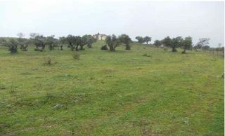 Solar en venta en Plasencia