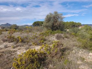 Terreno en venta en Móra d´Ebre