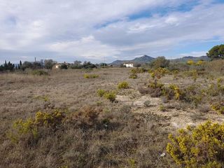 Terreno en venta en Móra d´Ebre