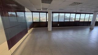 Oficina en alquiler en La Indioteria en Palma de Mallorca