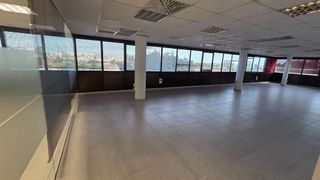 Oficina en alquiler en La Indioteria en Palma de Mallorca