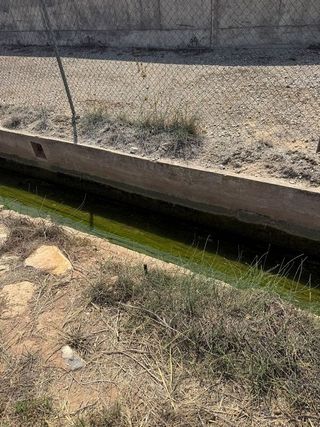 Terreno en venta en Urbanizaciones en Llíria