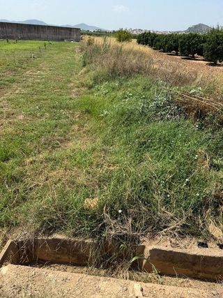 Terreno en venta en Urbanizaciones en Llíria