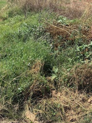 Terreno en venta en Urbanizaciones en Llíria