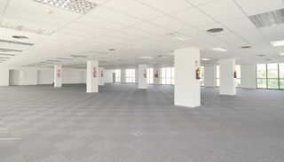 Oficina en alquiler en El Gall en Esplugues de Llobregat