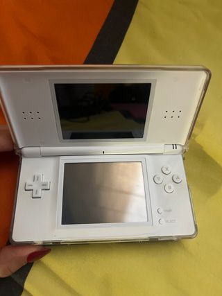 Nintendo DS Bianca con Caricatore