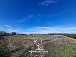 Terreno en venta en Lora del Río