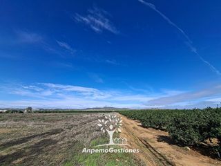 Terreno en venta en Lora del Río