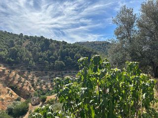 Casa rural en venta en Montefrío