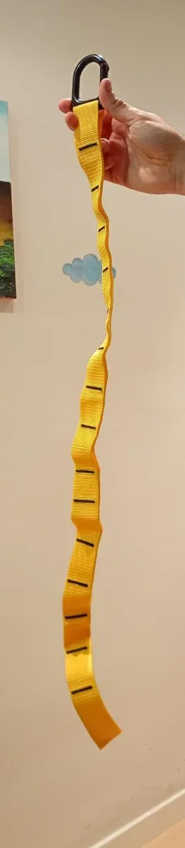 TRX Cintas de Gimnasia