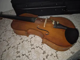 Violino Parrot