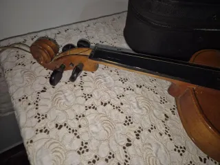 Violino Parrot